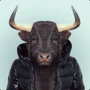 Bull's Stream profile image