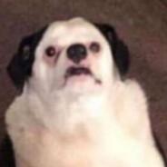 Anenu's Stream profile image