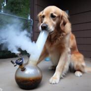 Nicho's Stream profile image