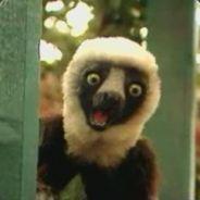 Fgg's Stream profile image