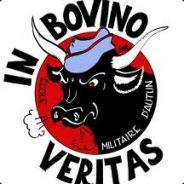 beber''s Stream profile image