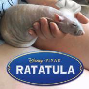 Ratatula IV's - Steam avatar