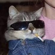 RompeMadre's Stream profile image