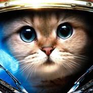 Inkatti's Stream profile image