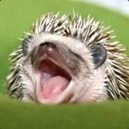 eRa's Stream profile image