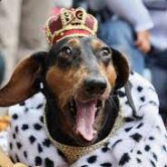 KingMichaelBee's Stream profile image