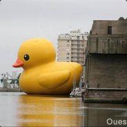 Parmenionak47's Stream profile image