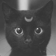 Jmart's Stream profile image