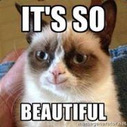Saif's Stream profile image