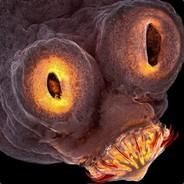 Reee's Stream profile image