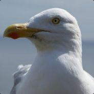 NönôwPowney[FR]'s - Steam avatar
