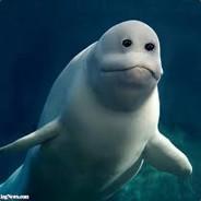 Clipok's Stream profile image