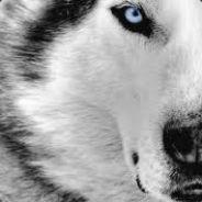 1stYeniceri_Mufasa's Stream profile image