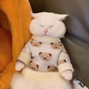 Антон Мартынов's Stream profile image