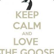 Gander Kelly's Stream profile image