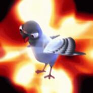 Nicht Schlecht, Herr Specht!'s Stream profile image