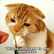 Mr.White's Stream profile image