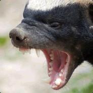 Rashiritel's Stream profile image