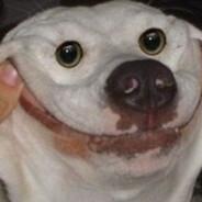 bvgecko's Stream profile image