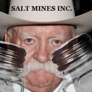 Salt Mines Inc.'s Stream profile image