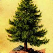 MIGHTYKARKOV's - Steam avatar