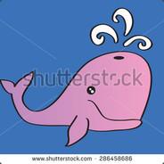 MobyTits's Stream profile image