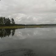 Schniggi's Stream profile image
