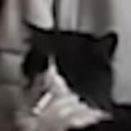 M8NK's Stream profile image