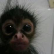 EBA CANAVARI's Stream profile image