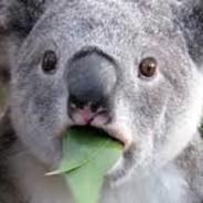 Tyker's Stream profile image