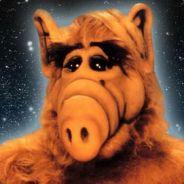 RonaldCuman's Stream profile image
