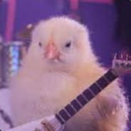 Heavy Metal Chicken's - Steam avatar