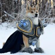 QingTEA's Stream profile image