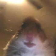 cuzy's Stream profile image