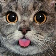 КАЧУКАС's Stream profile image