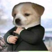 Ch4kycito's Stream profile image