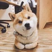 Rrainman's Stream profile image