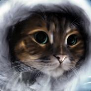 Kedi's Stream profile image