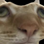 Leituga's - Steam avatar