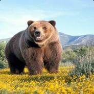 BEAR's Stream profile image