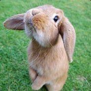zajo'79's Stream profile image