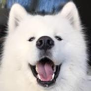 TitiZeBG's Stream profile image