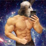 Yolo Rabbit's Stream profile image
