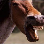 Sarah Jessica Parker's Stream profile image
