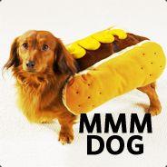 Learns's Stream profile image
