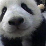 zagaluke's - Steam avatar