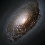 Dradis's Stream profile image