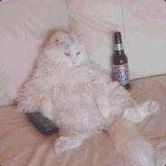fondue.ch's Stream profile image