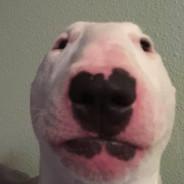 Saito's Stream profile image
