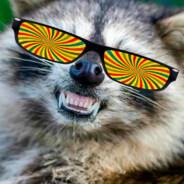 Mapache Rabioso's Stream profile image